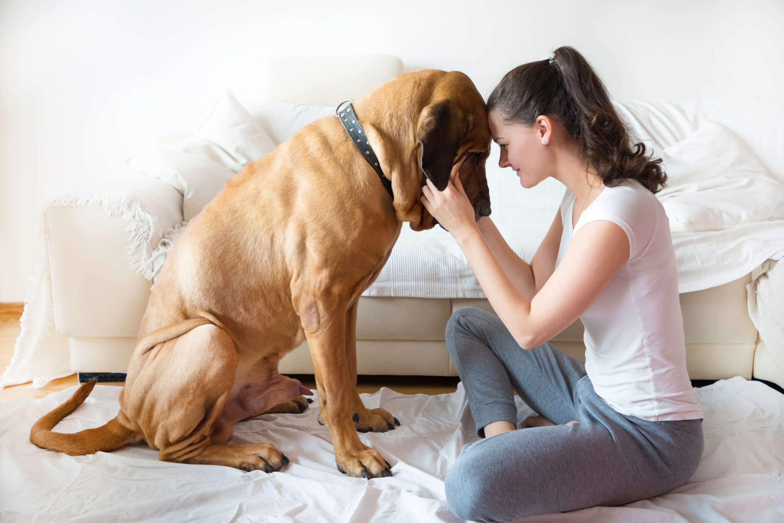 Dog’s Reaction to Seeing Woman Again After 2 Years Delights Viewers