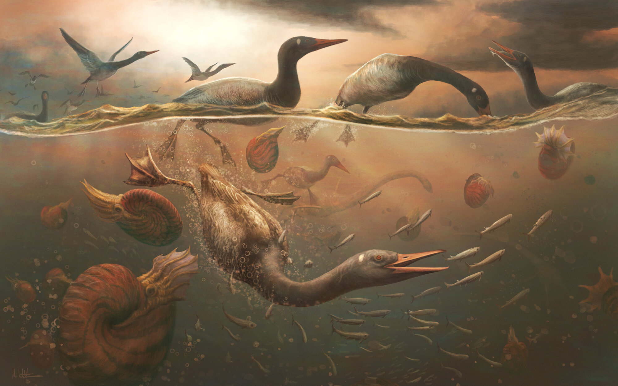 Earliest Bird Discovery May Settle Long-Running Mystery