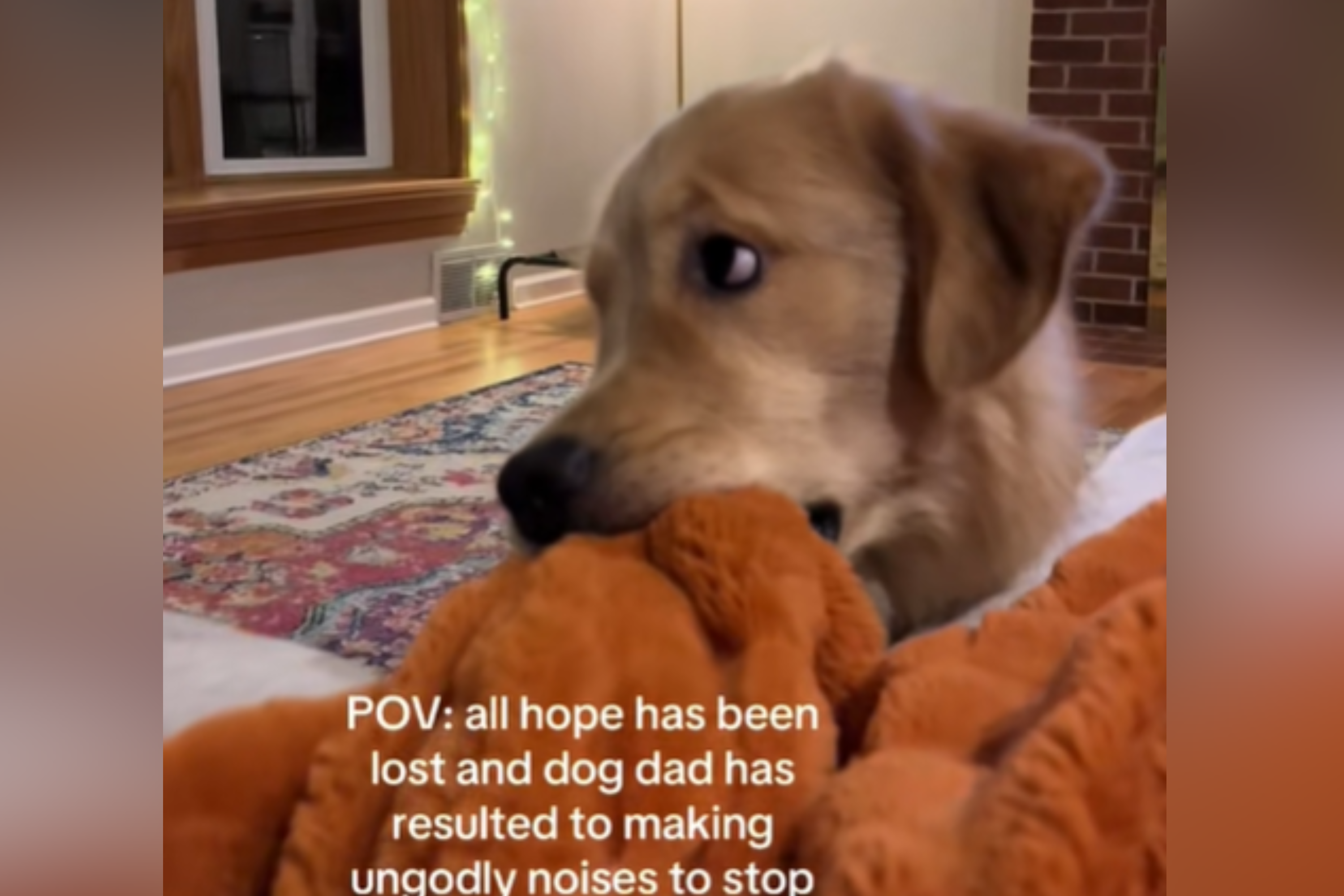 Boyfriend’s Unexpected Way of Distracting Golden Retriever Goes Viral
