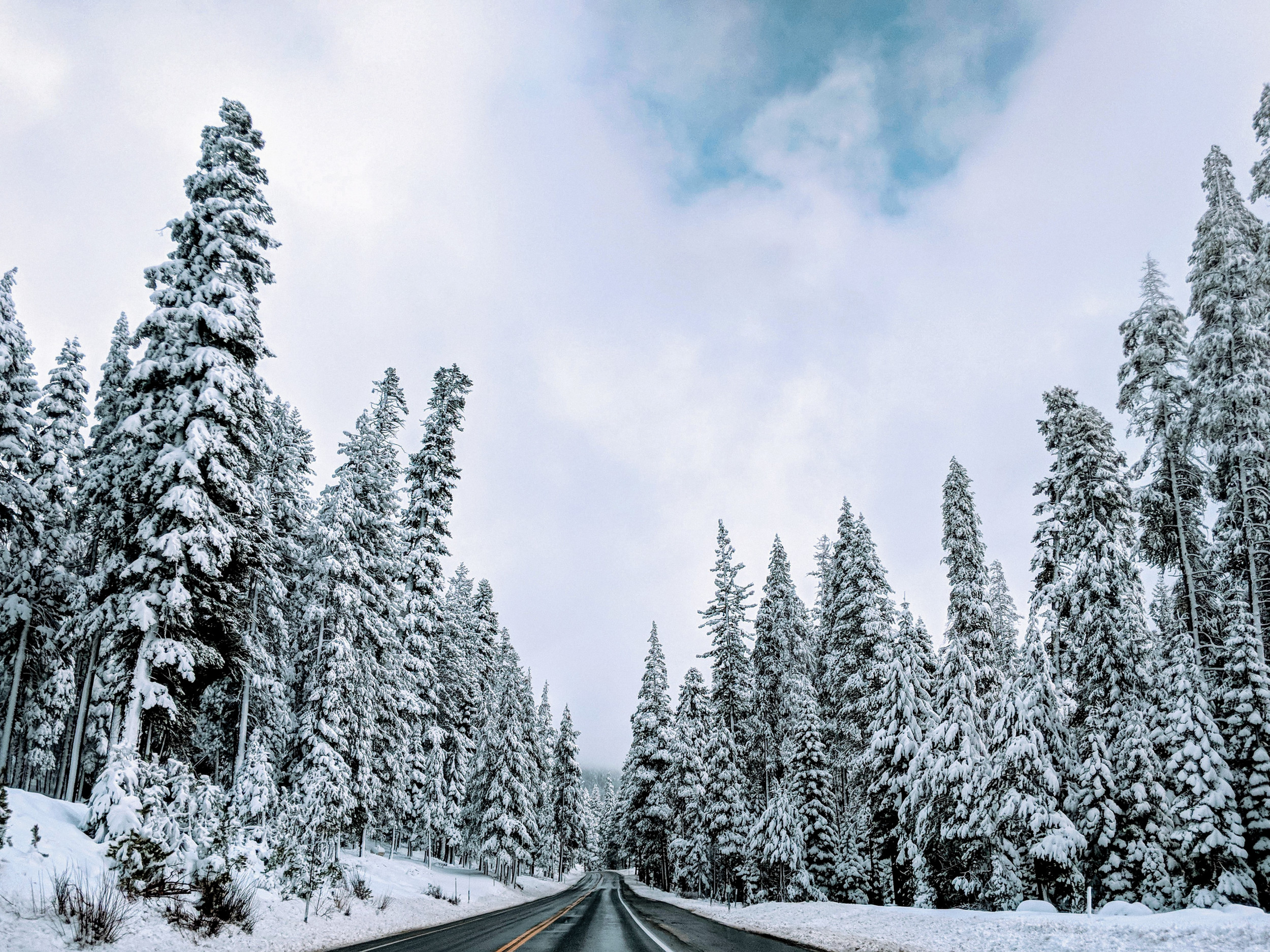 California Snowpack on Track to Hit Milestone for First Time This Century