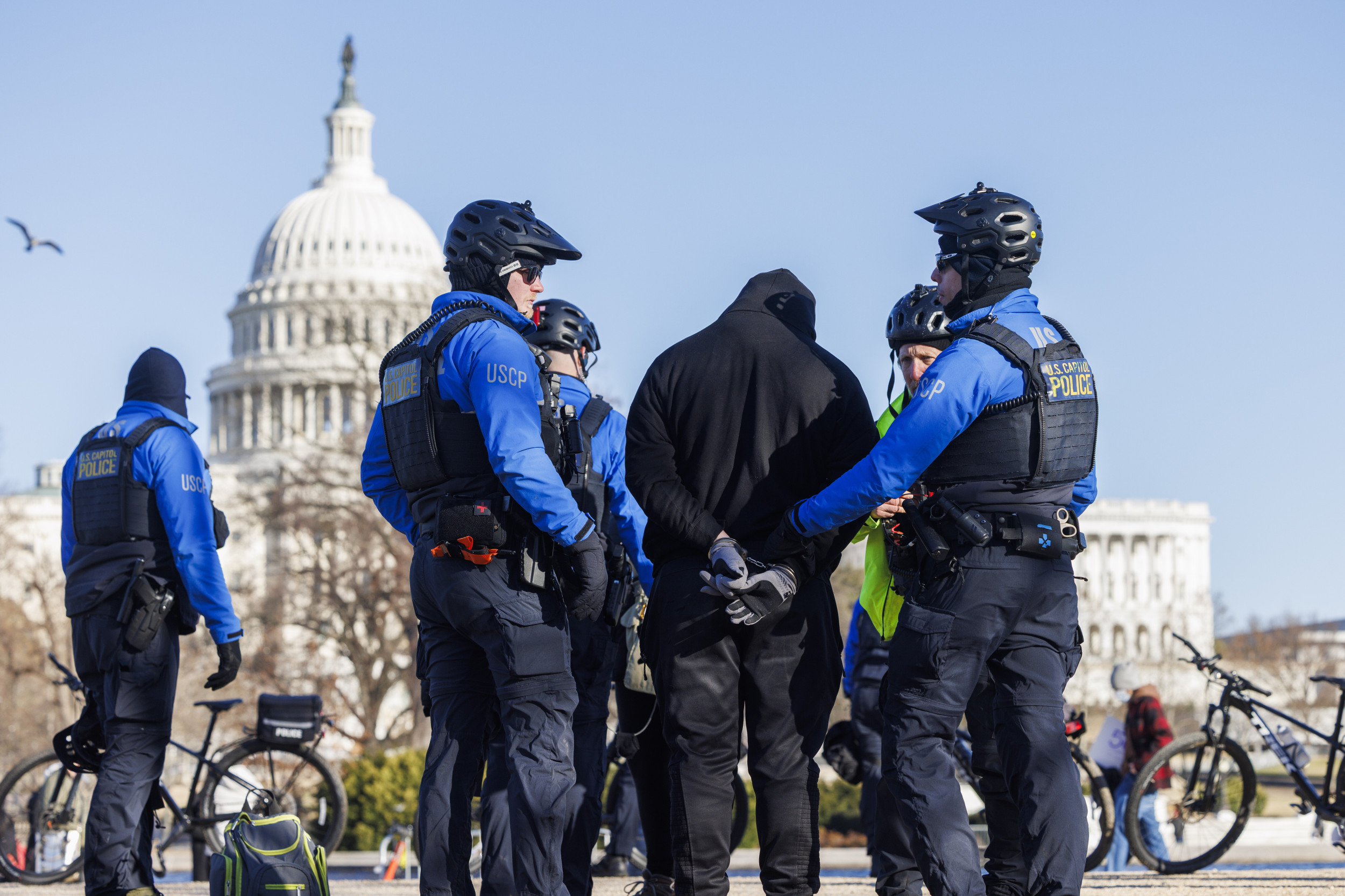 Photos Show Trump, Musk 50501 Protests Across the US
