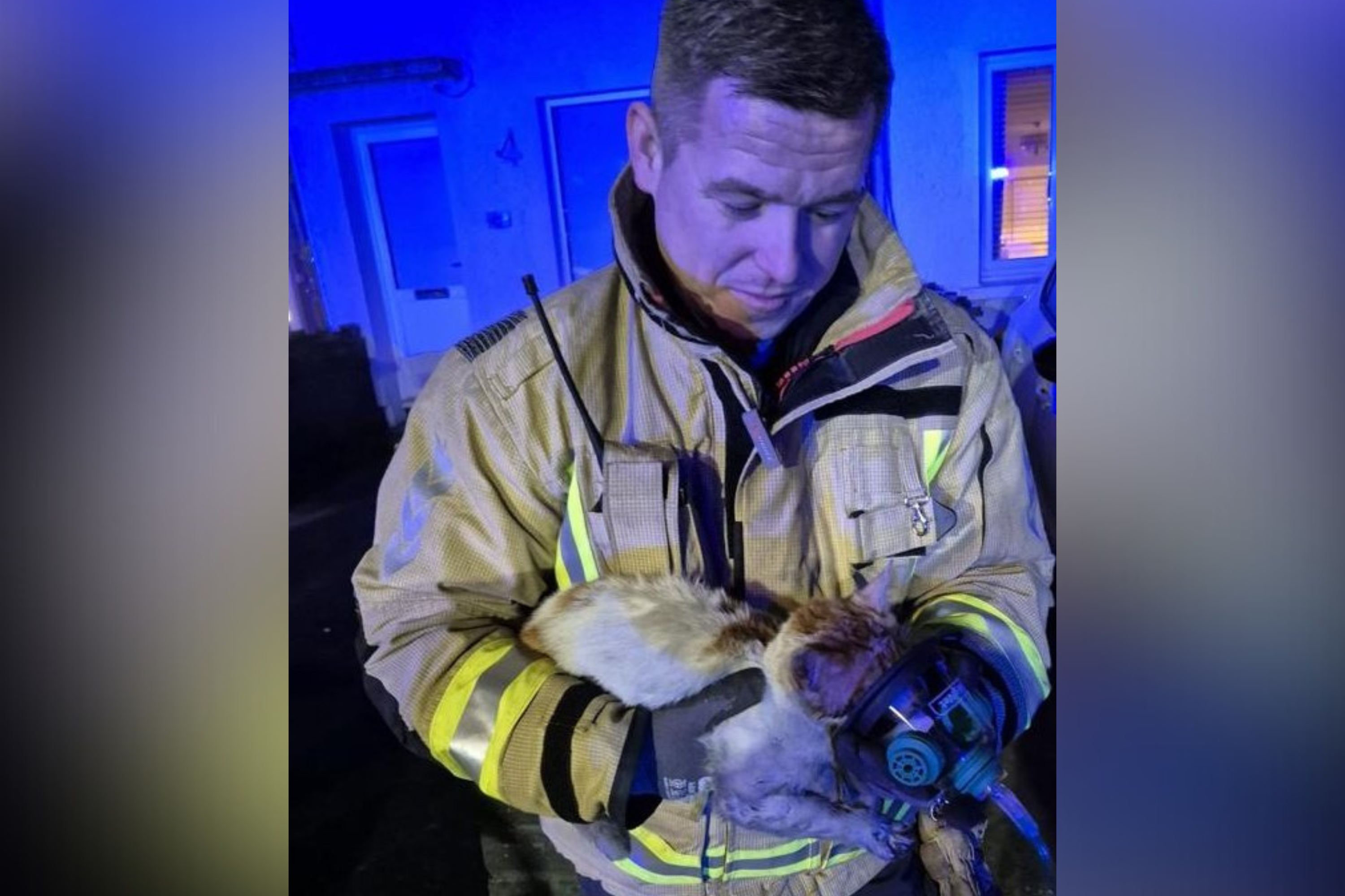 Moment Cat Rescued and Nursed Back to Health by Firefighters Goes Viral
