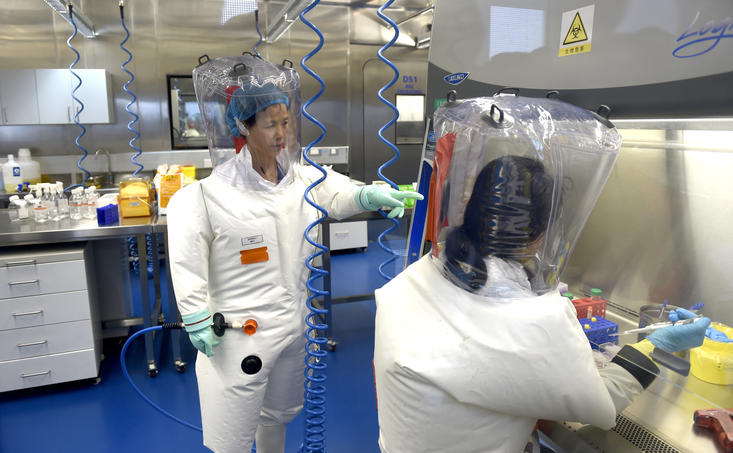 New Coronavirus Discovered in Chinese Bats Sparks Alarm