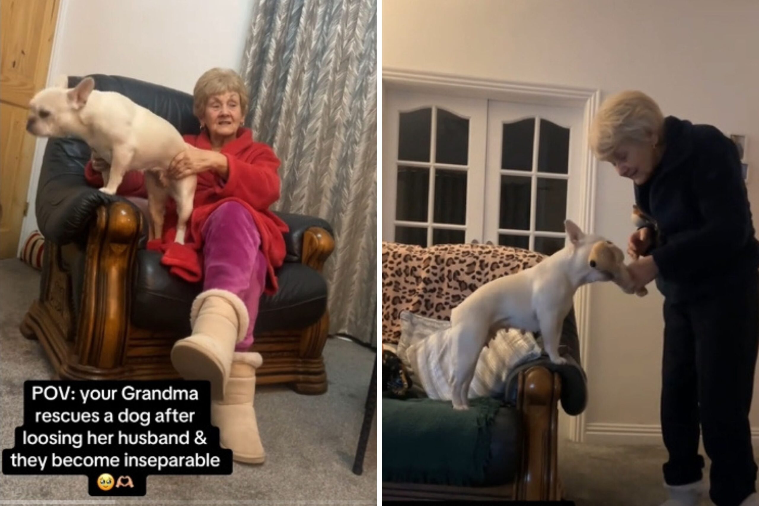 Grandma Grieving Her Husband Adopts Rescue Dog, Pair Become Best Friends