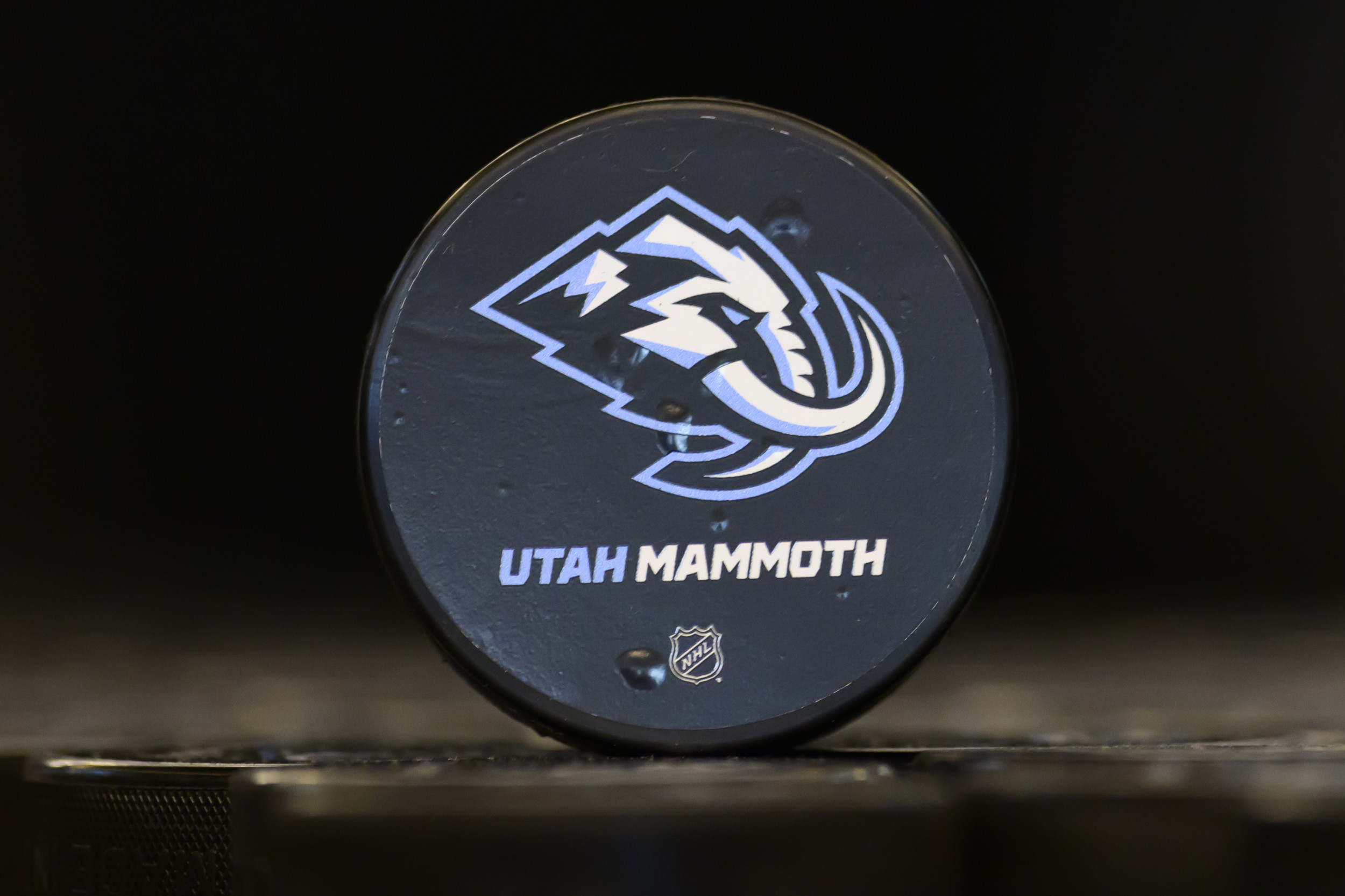 How to Buy Utah Mammoth NHL Gear: Hats, Shirts, Hoodies