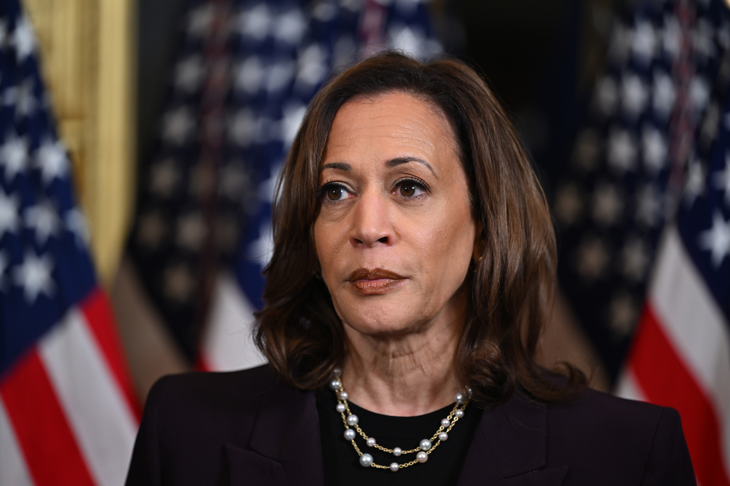 California Democrat Accuses Kamala Harris of Covering Up Biden Decline