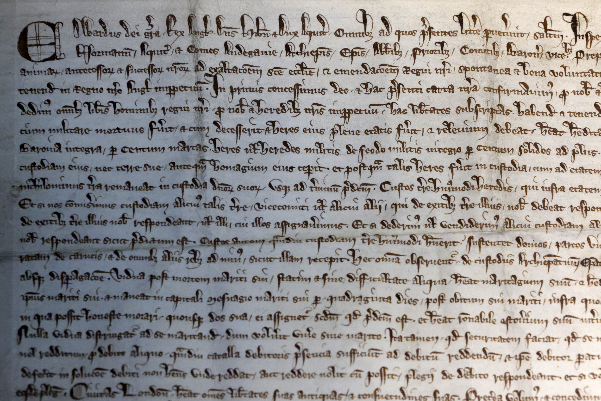 Harvard Makes Stunning Magna Carta Discovery