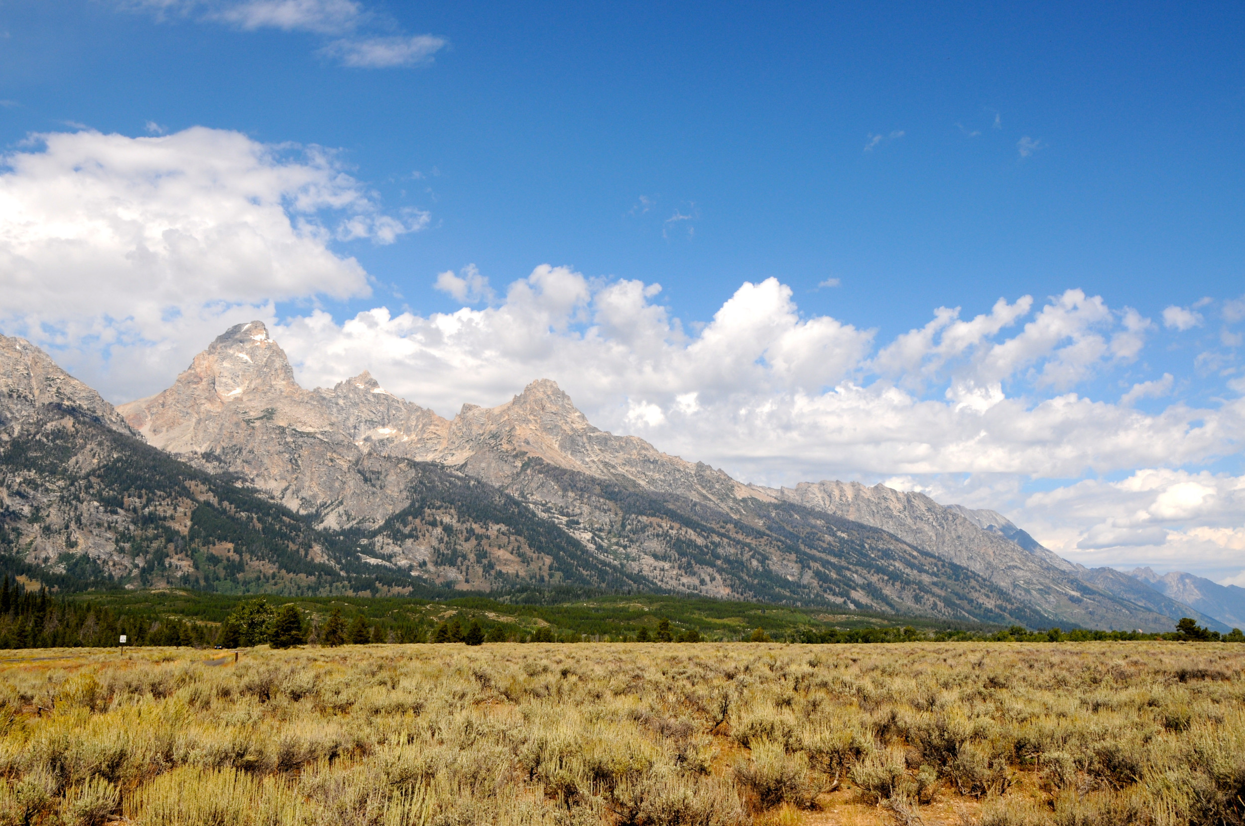Idaho Crash Kills 7 Near Yellowstone: What We Know