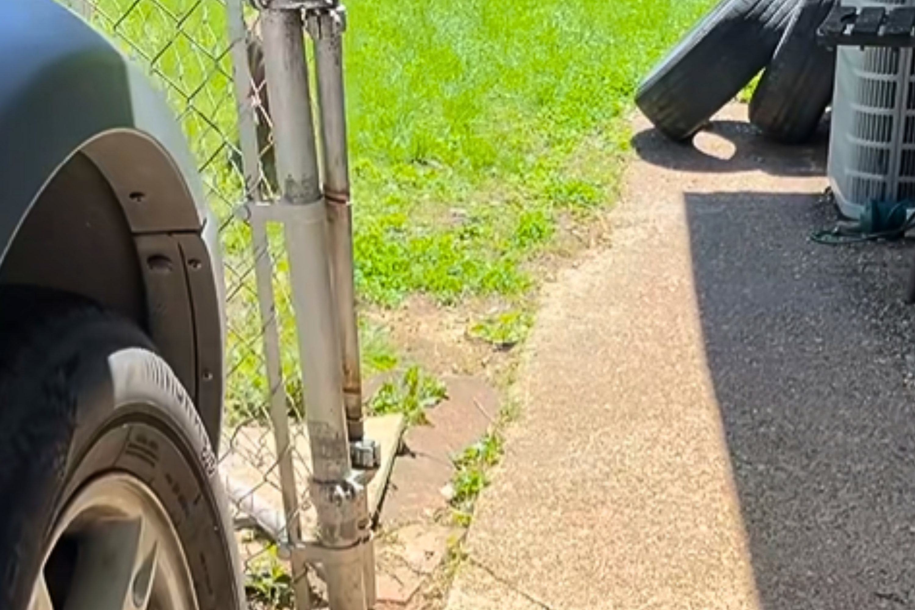 Neighbor Follows Blood Trails in Yard—Then Immediately Calls Animal Shelter